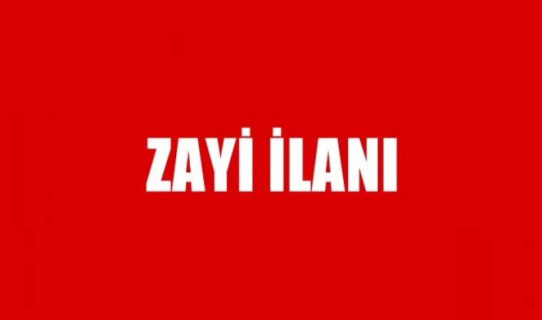 ZAYİ 10