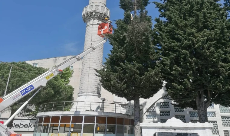 Kırklareli Belediyesi Park ve Bahçeler Müdürlüğü Ekipleri, Titiz Ve Planlı Çalışmalarını sürdürüyor