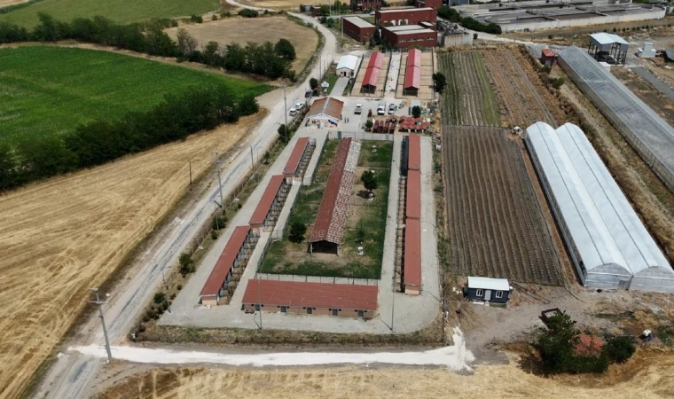 Can dostların yaşam alanları büyütülüyor