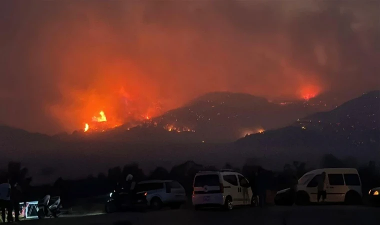 Çanakkale'de Korkutan Yangın