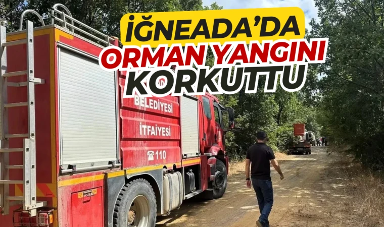 İğneada'da Orman Yangını Korkuttu