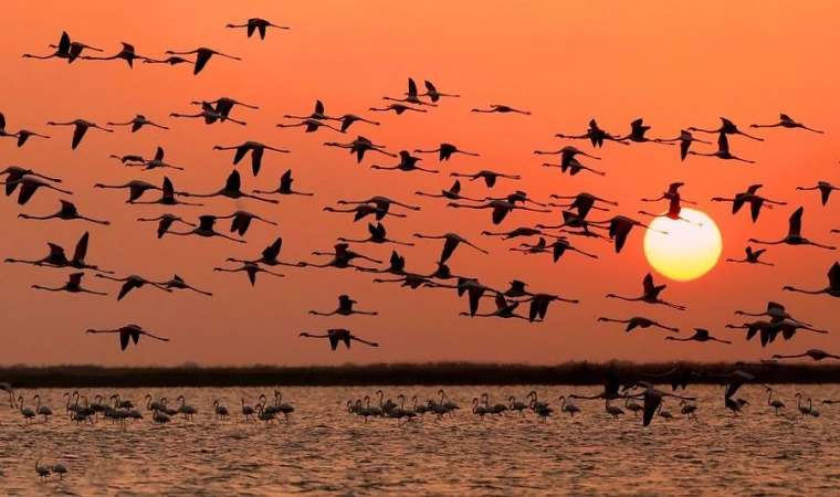 Gala Gölü’nü Yok Etme Projesi