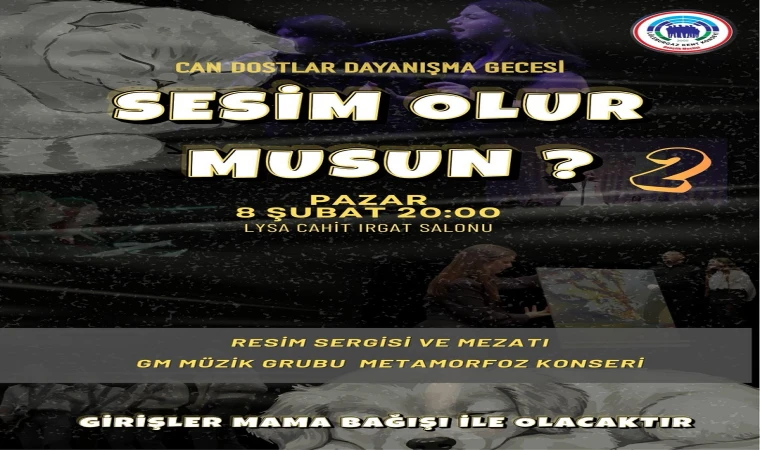 Can Dostlar için Dayanışma Gecesi