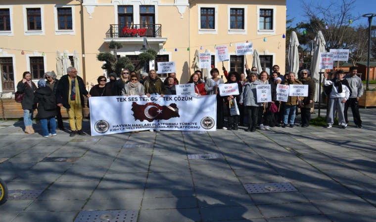 Kırklareli Hayvan Hakları Platformu’ndan açıklama: "Barınaklar çözüm değil!"