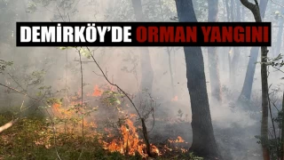 Demirköy'de Orman Yangını