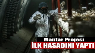Mantar Projesi İlk Hasadını Yaptı