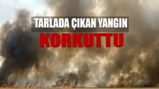 Tarlada Çıkan Yangın Korkuttu