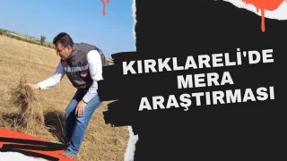 Hayvansal Gübrelerin Mera Alanları Üzerindeki Etkileri Değerlendiriliyor