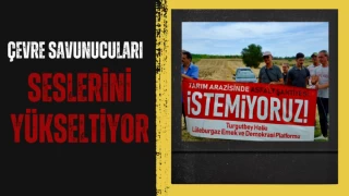 Çevre Savunucuları Seslerini Yükseltiyor