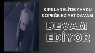 "Kırklareli'de Yavru Köpeğe Eziyet Davası Devam Ediyor"