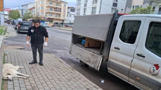 VETERİNER İŞLERİ MÜDÜRLÜĞÜ GECE GÜNDÜZ ÇALIŞIYOR