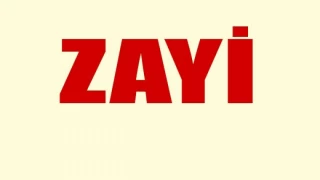 Zayi 101