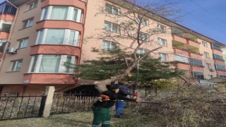 KIRKLARELİ BELEDİYESİ EKİPLERİ,SORUNLARA ANINDA MÜDAHALE EDİYOR