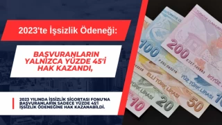 2023'te İşsizlik Ödeneği: Başvuranların Yalnızca Yüzde 45'i Hak Kazandı