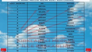 CHP ÜYELERİ YENİDEN SANDIK BAŞINA GİDİYOR