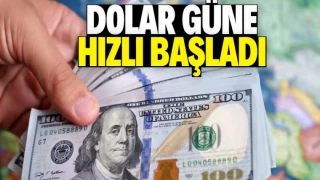 Dolar/TL 30,10'u Aşarak Yeni Rekor Kırdı