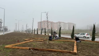 İnönü Caddesi ve Kofçaz Yolu'nda Yeni Peyzaj