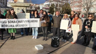Sokak Hayvanları Sahipsiz Değildir