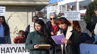 Failler İçin Hapis Cezası, Hayvanlar için ADALET