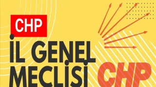 İl Genel Meclis Üyelerinde son durum