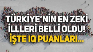 Türkiye'nin IQ oranları açıklandı