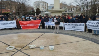 İnsanca Yaşam Haktır