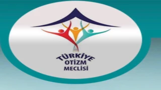 Türkiye Otizm Meclisi’nden TBMM’ye Ziyaret: Otizm İçin Farkındalık Çağrısı