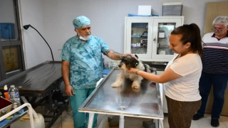 Can Dostlara Bakım Günü