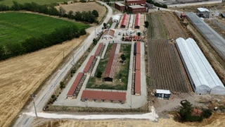 Can dostların yaşam alanları büyütülüyor