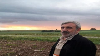 SOL Parti'den Trakya Ayçiçeği Üreticileri İçin Kritik Açıklama: "Talan Değil, Taban Fiyat İstiyoruz"