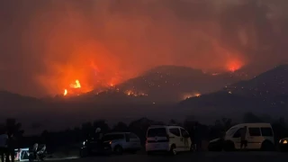 Çanakkale'de Korkutan Yangın