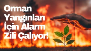 Orman Yangınları İçin Alarm Zili Çalıyor!