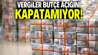 Vergiler Yetmiyor: Türkiye'nin Bütçe Açığı 1.2 Trilyon TL'yi Aştı