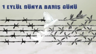 1 Eylül Dünya Barış Günü: Barışa Giden Yolda Bir Hatırlatma