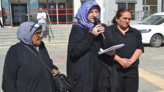 İğneada'da Yaşanan Sel Felaketindeki Mağdurların Adalet Arayışı Sürüyor 