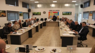 PEHLİVANKÖY İLÇESİNDE SITMA VAKASI İDDİLARI İLE İLGİLİ MECLİSE ARAŞTIRMASI ÖNERGESİ