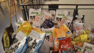 Can dostlar için sanat ve dayanışma