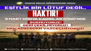 EŞİTLİKTEN VAZGEÇMEYEN KADINLAR, GELECEĞİ DEĞİŞTİRİR.