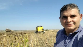 Yağlık Ayçiçekte Çiftçi Neden Sahipsiz Bırakılıyor?